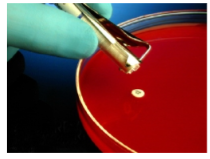 Antimicrobial Susceptibility Testing Disc HardyDisks™ Amoxicillin with clavulanic acid 20 / 10 µg-EA