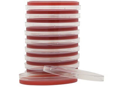 Prepared Media Tryptic Soy Agar (TSA) with 5% Sheep Blood Red Petri Plate Format